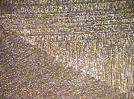 Micrograph